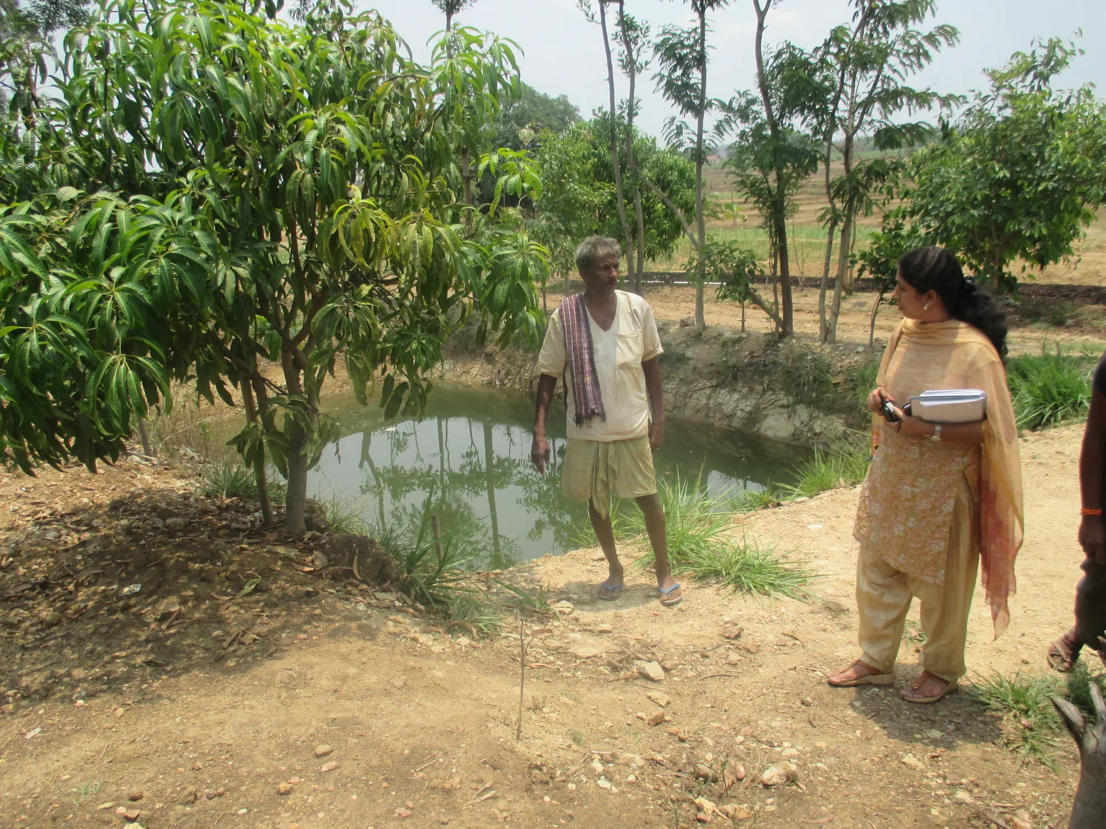 Diversified crop activity under an integrated farming system