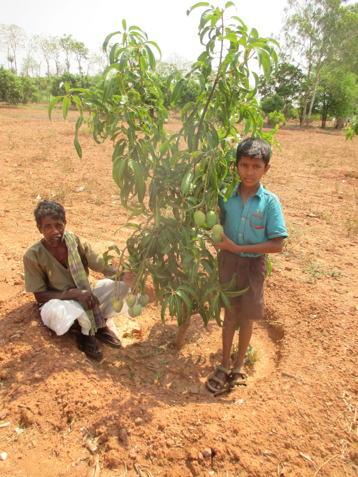 Farmer within a diversified tree-based production system