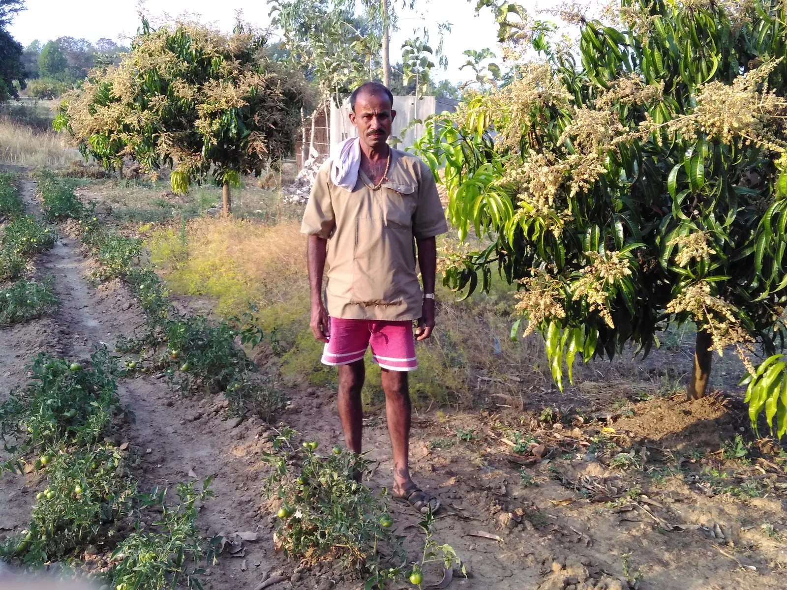 Farm resources managed through an integrated production approach