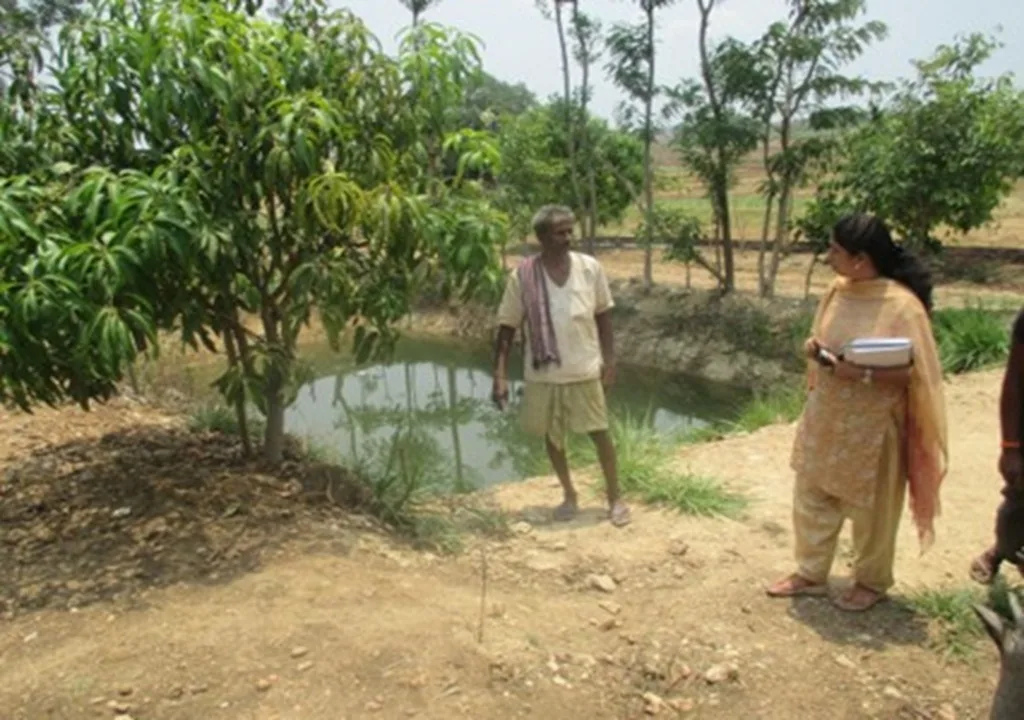 Tree-based farming system with a farm pond